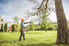 Leaf Removal in Fleming Island, FL