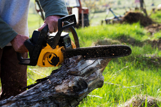 How Our Tree Care Process Works  in  Fleming Island, FL